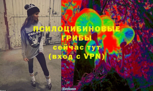 стаф Бородино