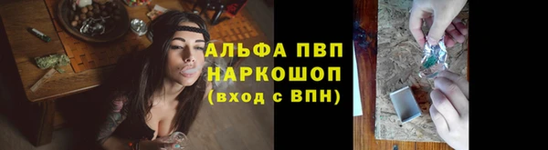 стаф Бородино