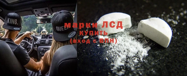стаф Бородино